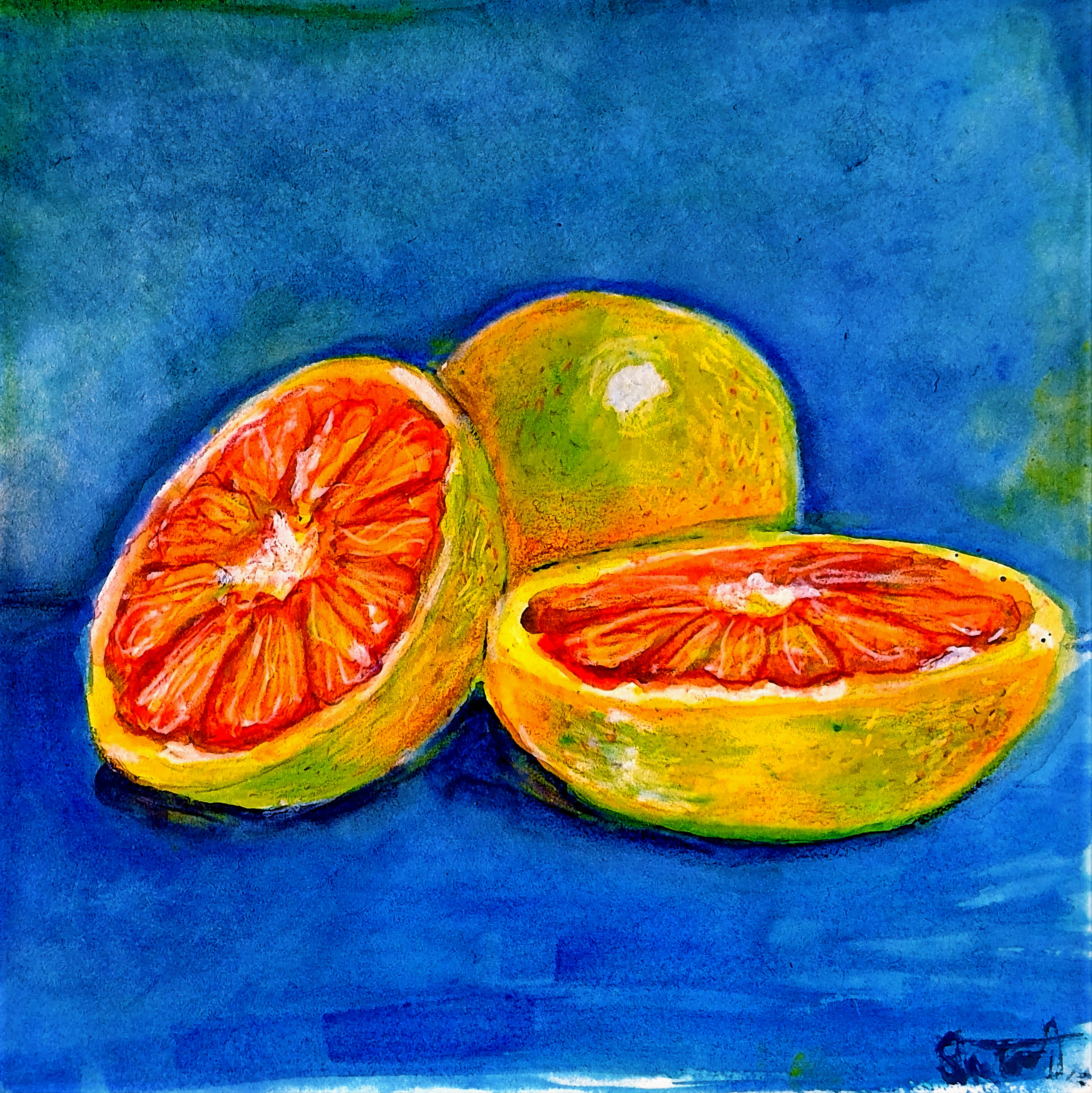 Poster | Print | Oranges in aquarell